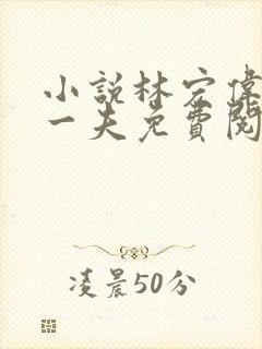 小说林宏伟三女一夫免费阅读全文