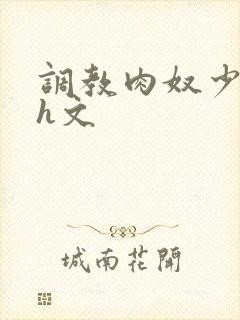 调教肉奴少司缘h文