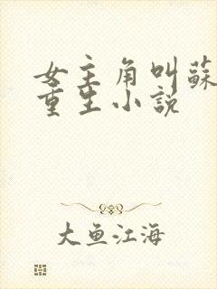 女主角叫苏洛的重生小说