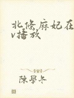 北条麻妃在线av播放