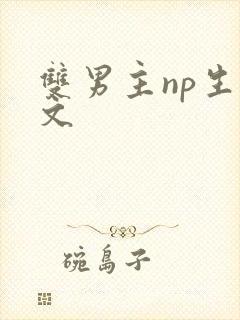 双男主np生子文