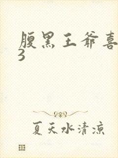 腹黑王爷喜当爹3封面