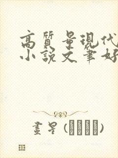 高质量现代言情小说文笔好