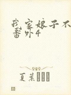 我家娘子不对劲番外4