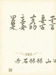 男主有妻子女主是妾的古言