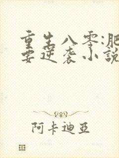 重生八零:肥女要逆袭小说txt主角封面