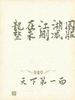 龙在江湖国语完整未删减版封面