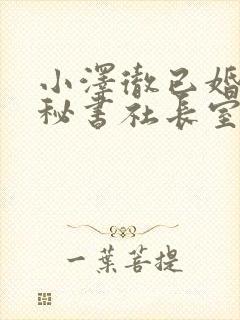 小泽彻已婚人妻秘书社长室