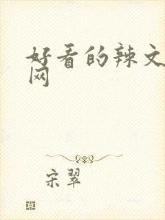 好看的辣文小说网