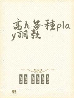 高h各种play调教
