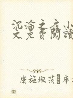 沉沦之夜小说全文免费阅读无弹窗