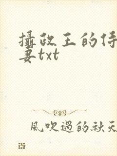 摄政王的侍爱逃妻txt
