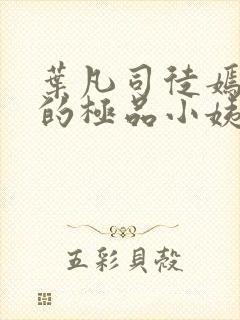 叶凡司徒嫣然我的极品小姨完整