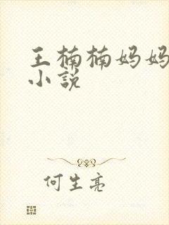 王楠楠妈妈王姨小说