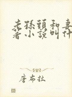 老孙头和妻子原著小说叫什么名字