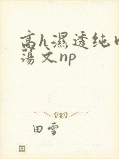 高h湿透纯肉放荡文np