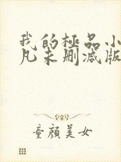 我的极品小姨叶凡未删减版封面