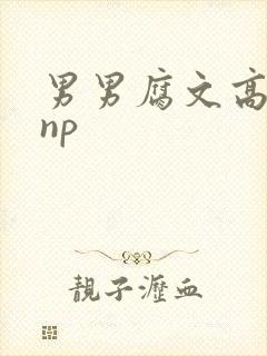 男男腐文高h肉np