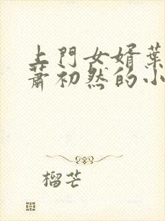 上门女婿叶辰和萧初然的小说最新章节