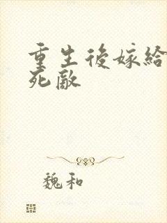 重生后嫁给前夫死敌