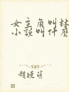 女主角叫林晚的小说叫什么名字