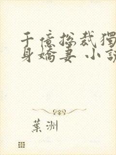 千亿总裁独宠替身娇妻 小说完整板