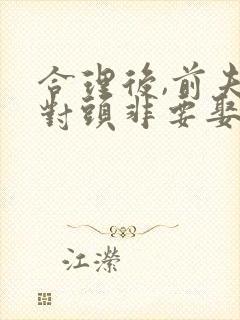 合理后,前夫死对头非要娶我