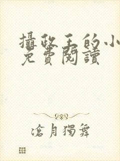 摄政王的小狂妃免费阅读封面