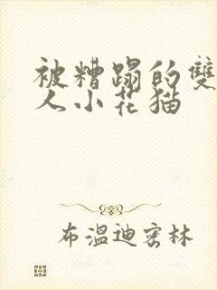 被糟蹋的双性美人小花猫