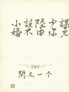 小说陆少谋妻之婚不由你免费阅读