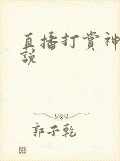 直播打赏神豪小说