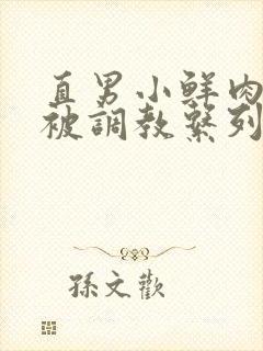 直男小鲜肉小陈被调教系列