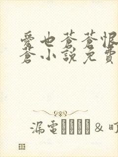 爱也苍苍恨也苍苍小说免费阅读