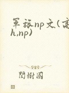 军旅np文(高h,np)