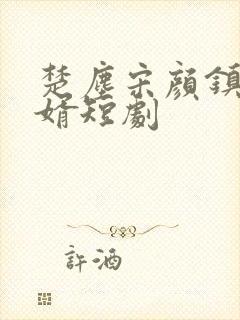 楚尘宋颜镇国神婿短剧