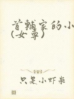 首辅家的小夫郎(女尊)