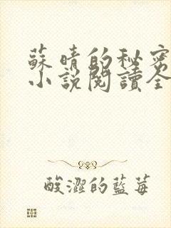 苏晴的秘密言情小说阅读全文免费