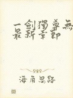 一剑独尊无弹窗最新章节