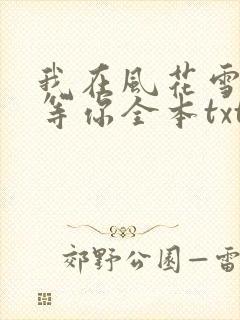 我在风花雪月里等你全本txt