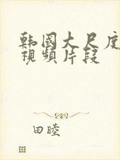 韩国大尺度床戏视频片段