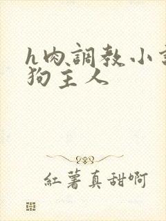 h肉调教小说母狗主人