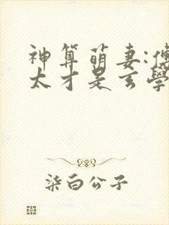 神算萌妻:傅太太才是玄学真大佬完结