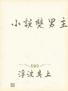 小说双男主黄文