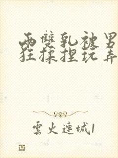 两双乳被男人疯狂揉捏玩弄小说