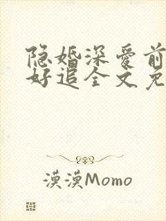 隐婚深爱前妻不好追全文免费阅读