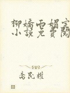 柳娇雨媚完结版小说免费阅读