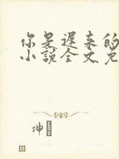 你是迟来的喜欢小说全文免费阅读