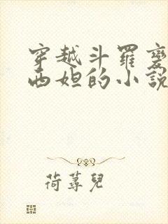 穿越斗罗变成纳西妲的小说封面