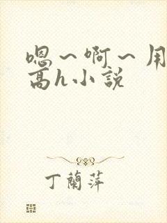 嗯～啊～用力～高h小说