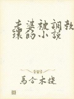 老婆被调教穿乳环的小说